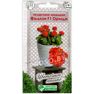 Пеларгония зональная Фалькон ориндж F1
