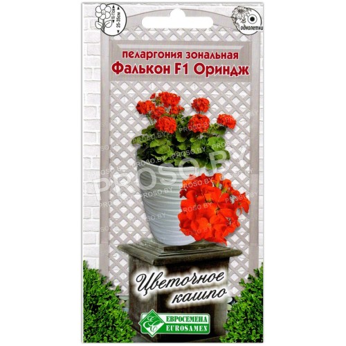 Пеларгония зональная Фалькон ориндж F1