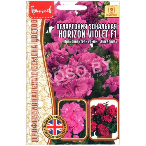 Пеларгония зональная Horizon violet F1