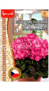 Пеларгония зональная Ночь розетты