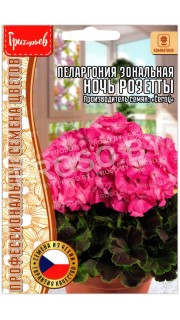 Пеларгония зональная Ночь розетты