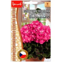 Пеларгония зональная Ночь розетты