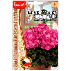 Пеларгония зональная Ночь розетты