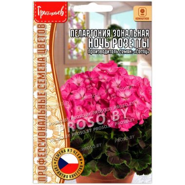 Пеларгония зональная Ночь розетты