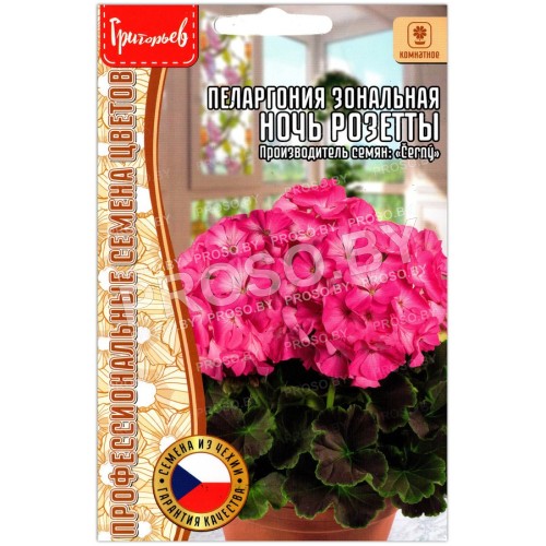 Пеларгония зональная Ночь розетты