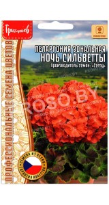Пеларгония зональная Ночь сильветты