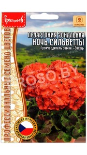 Пеларгония зональная Ночь сильветты