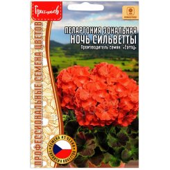 Пеларгония зональная Ночь сильветты