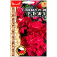 Пеларгония зональная Ночь Виалетты