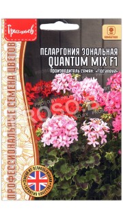 Пеларгония зональная Quantum mix F1