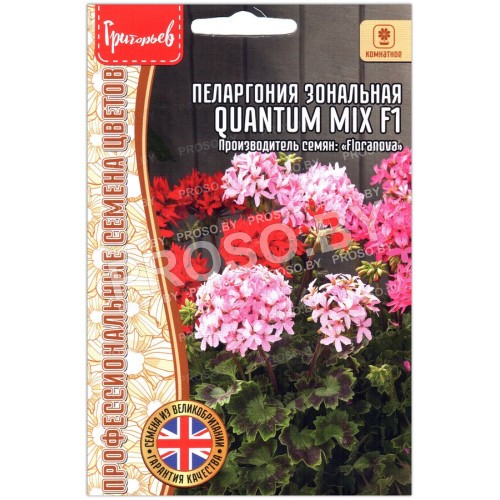 Пеларгония зональная Quantum mix F1