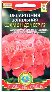 Пеларгония зональная Сэлмон дэнсер F2