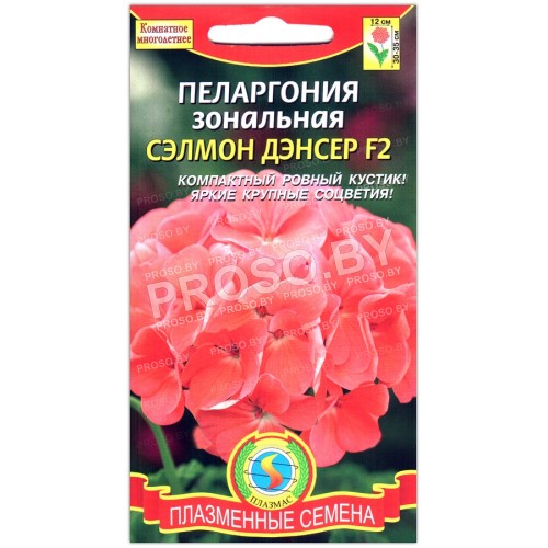Пеларгония зональная Сэлмон дэнсер F2