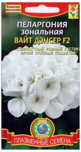 Пеларгония зональная Вайт дэнсер F2