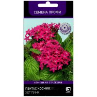 Пентас Космик хот пинк