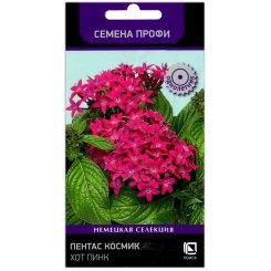 Пентас Космик хот пинк