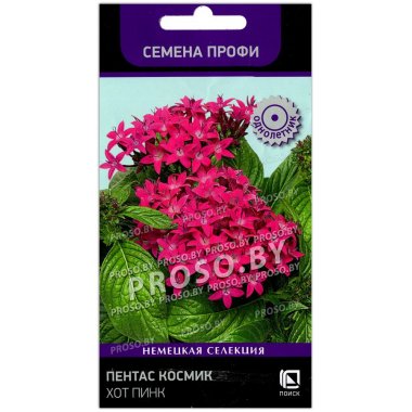 Пентас Космик хот пинк