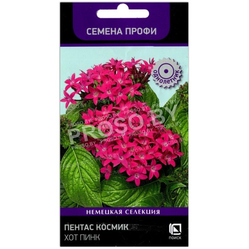 Пентас Космик хот пинк