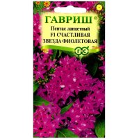 Пентас ланцетный Счастливая звезда фиолетовая F1