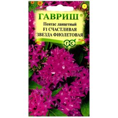 Пентас ланцетный Счастливая звезда фиолетовая F1