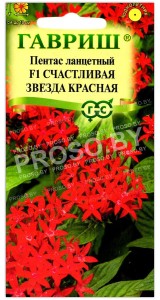 Пентас ланцетный Счастливая звезда красная F1
