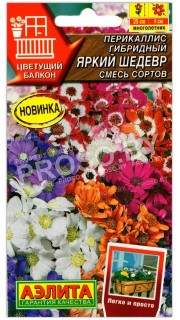 Перикаллис гибридный Яркий шедевр, смесь