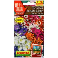 Перикаллис гибридный Яркий шедевр, смесь Перикаллис гибридный Яркий шедевр, смесь