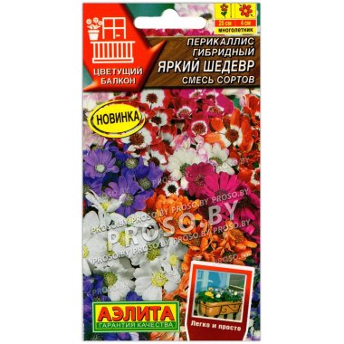 Перикаллис гибридный Яркий шедевр, смесь