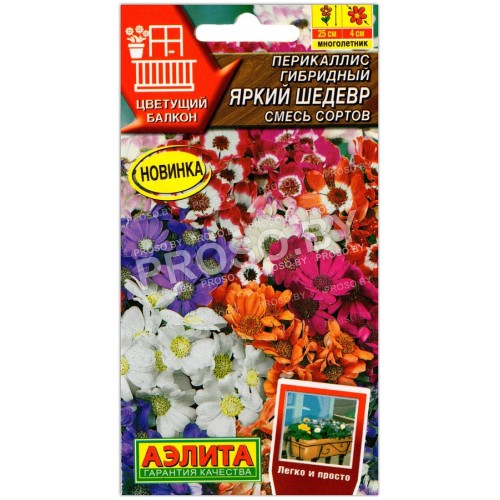 Перикаллис гибридный Яркий шедевр, смесь