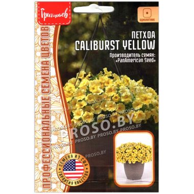 Петхоа Caliburst yellow