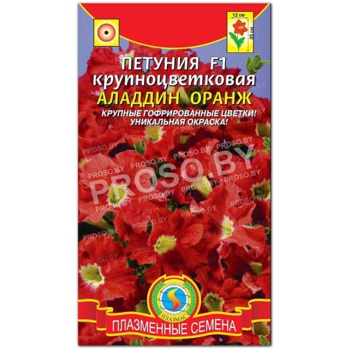 Петуния крупноцветковая Аладдин оранж F1