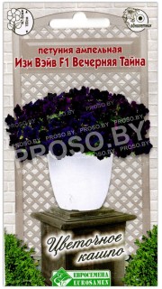 Петуния ампельная Изи вэйв вечерняя тайна F1