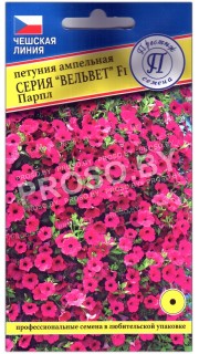 Петуния ампельная Парпл F1, серия Вельвет