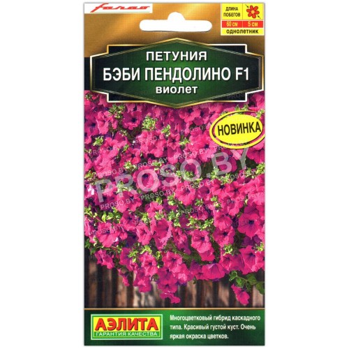 Петуния Бэби пендолино виолет F1