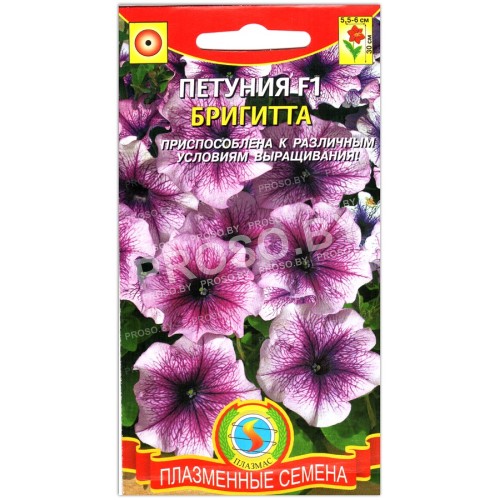 Петуния Бригитта F1