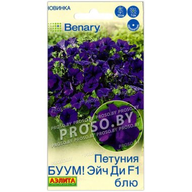 Петуния БУУМ! Эйч ди блю F1