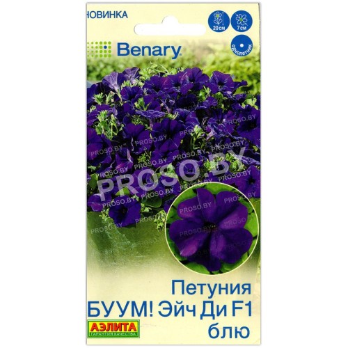 Петуния БУУМ! Эйч ди блю F1