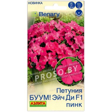 Петуния БУУМ! Эйч ди пинк F1