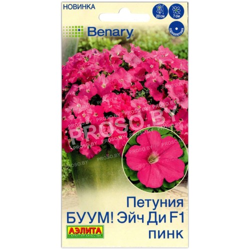 Петуния БУУМ! Эйч ди пинк F1