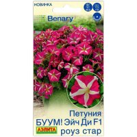Петуния БУУМ! Эйч ди роуз стар F1