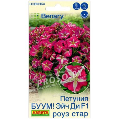Петуния БУУМ! Эйч ди роуз стар F1