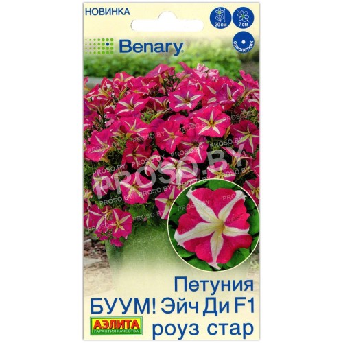 Петуния БУУМ! Эйч ди роуз стар F1