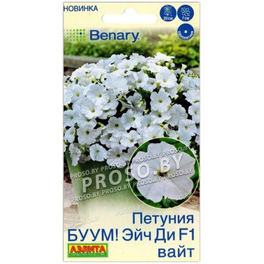 Петуния БУУМ! Эйч ди вайт F1