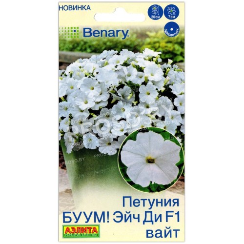 Петуния БУУМ! Эйч ди вайт F1