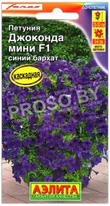 Петуния мини Джоконда синий бархат F1