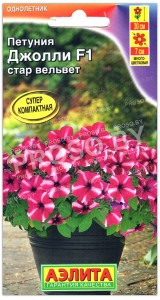 Петуния Джолли стар вельвет F1