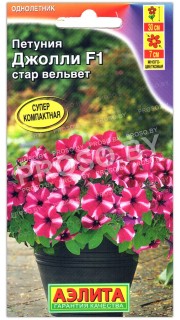 Петуния Джолли стар вельвет F1