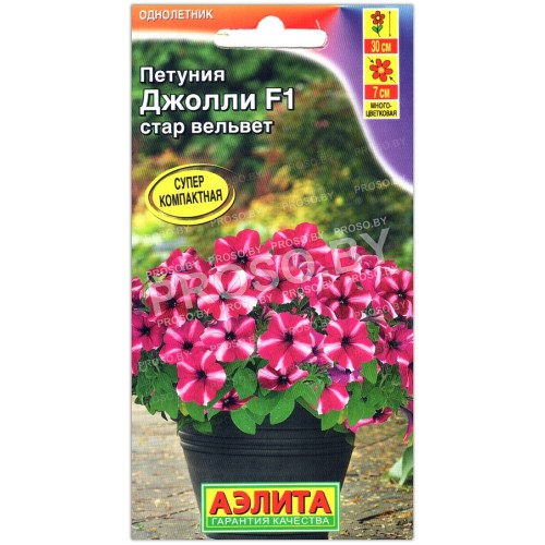 Петуния Джолли стар вельвет F1