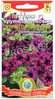 Петуния крупноцветковая Эспрессо фраппе руби