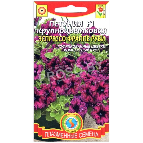 Петуния крупноцветковая Эспрессо фраппе руби